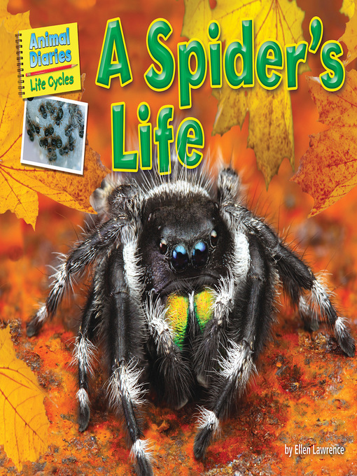 Title details for A Spider's Life by Ellen Lawrence - Wait list